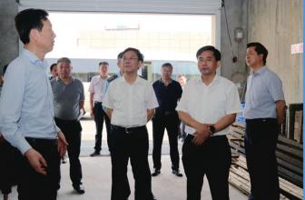 泰兴市领导等一行到公司检查城市防汛工作（一）