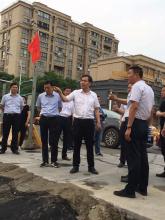 市委刘书记一行到我公司中标的根思路现场视察并指导工作
